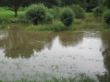 Hochwasser 2017 Westaue 7.JPG
